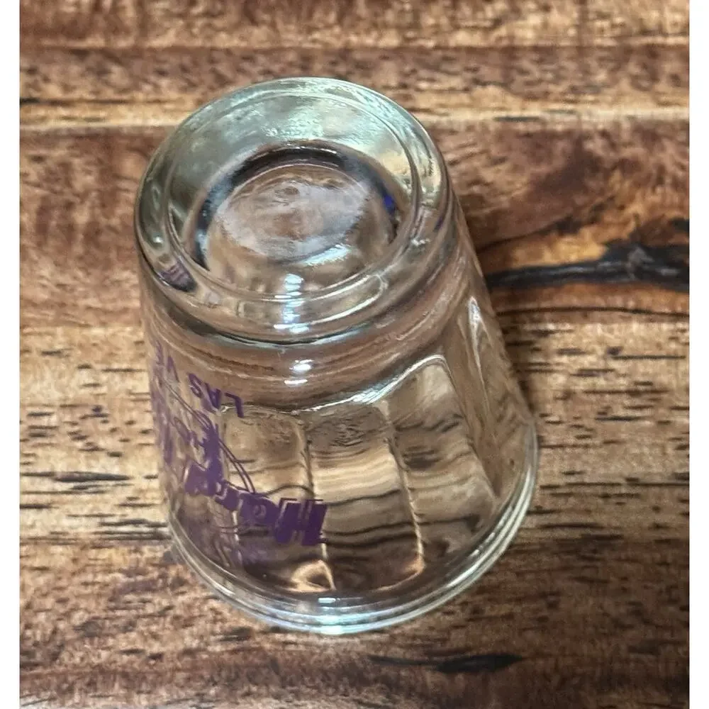 Hard Rock Hotel Save The Planet Las Vegas Purple Shot Glass